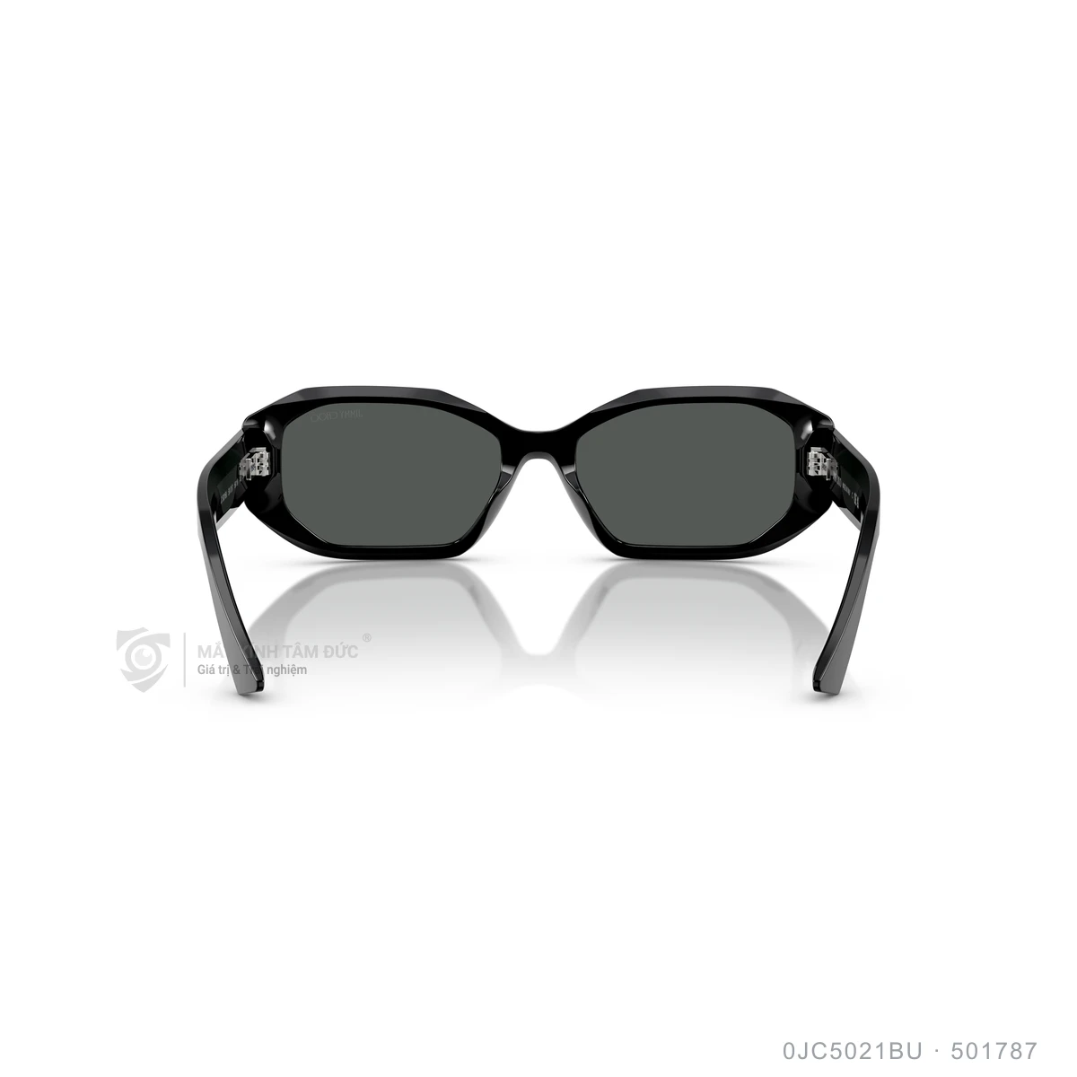 Kính mát Jimmy Choo 0JC5021BU - Ảnh 20