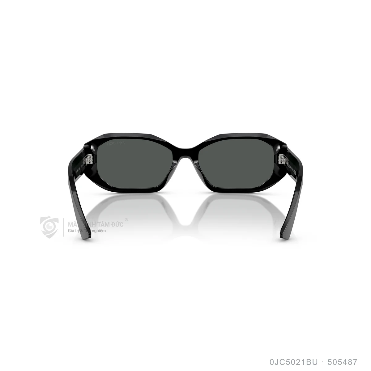 Kính mát Jimmy Choo 0JC5021BU - Ảnh 35