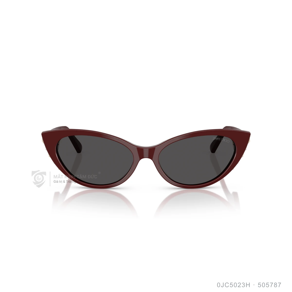 Kính mát Jimmy Choo 0JC5023H - Ảnh 16