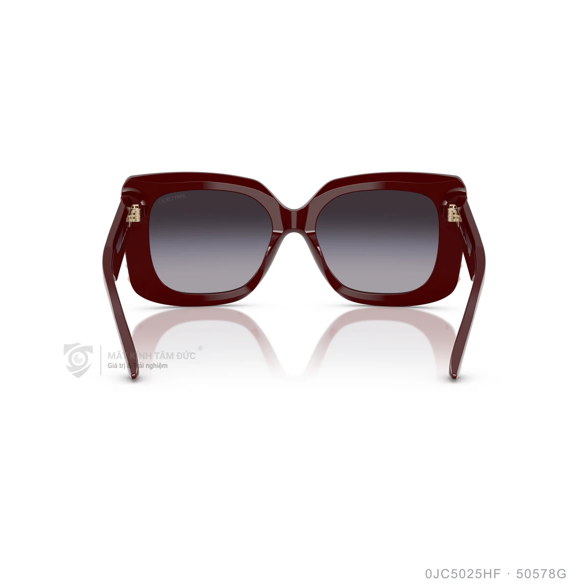 Kính mát Jimmy Choo 0JC5025HF - Ảnh 20