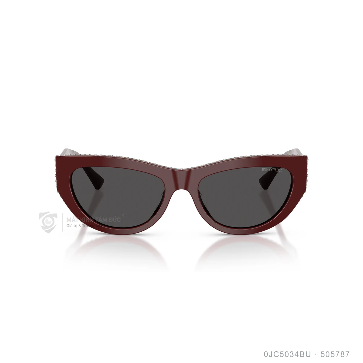 Kính mát Jimmy Choo 0JC5034BU - Ảnh 21