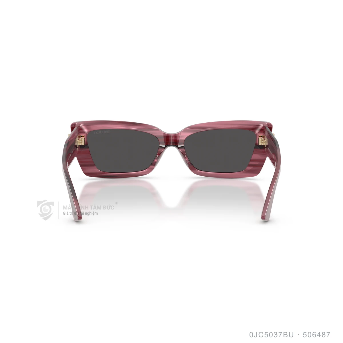 Kính mát Jimmy Choo 0JC5037BU - Ảnh 10