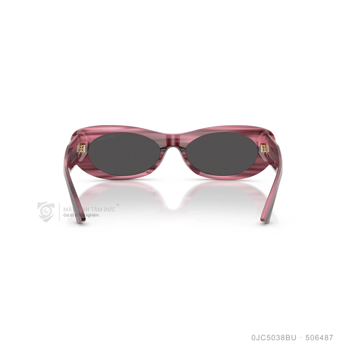 Kính mát Jimmy Choo 0JC5038BU - Ảnh 25