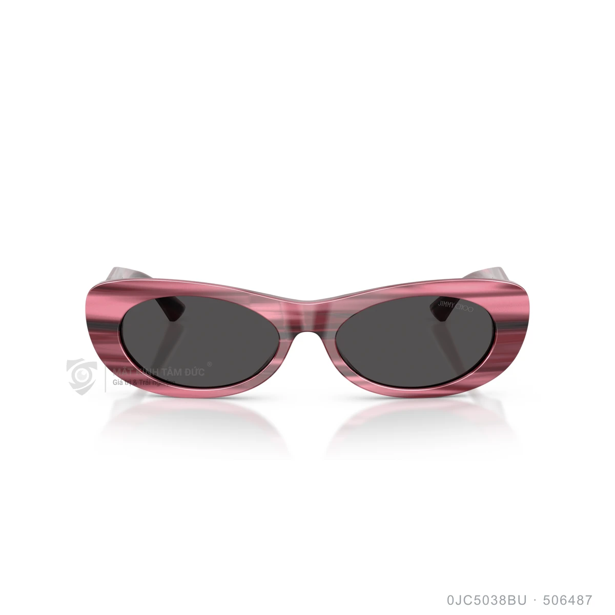 Kính mát Jimmy Choo 0JC5038BU - Ảnh 21