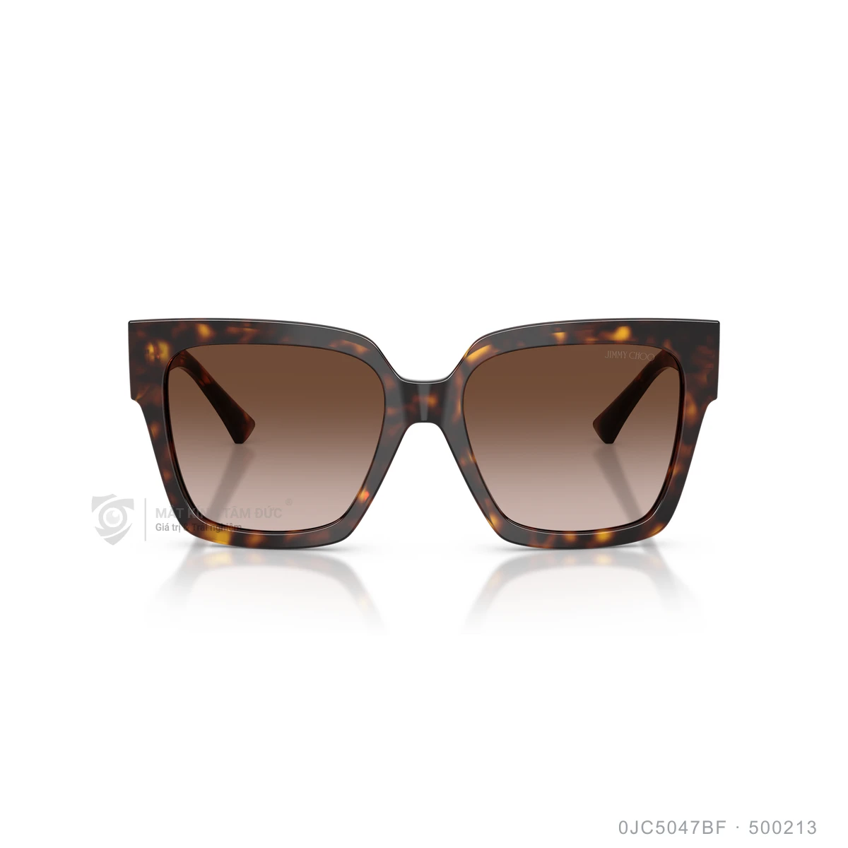 Kính mát Jimmy Choo 0JC5047BF - Ảnh 6