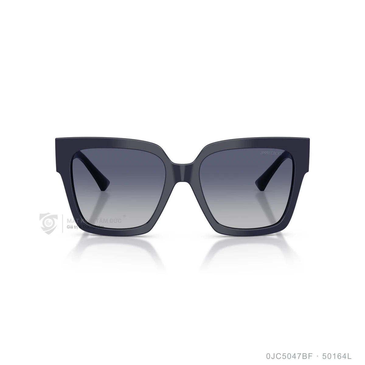 Kính mát Jimmy Choo 0JC5047BF - Ảnh 11