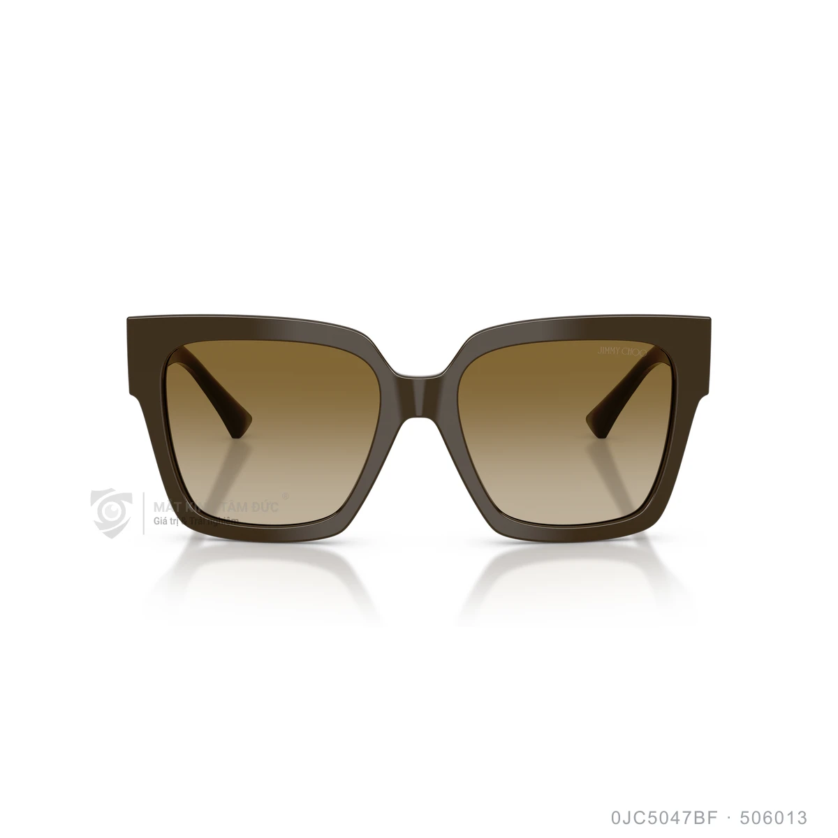 Kính mát Jimmy Choo 0JC5047BF - Ảnh 16