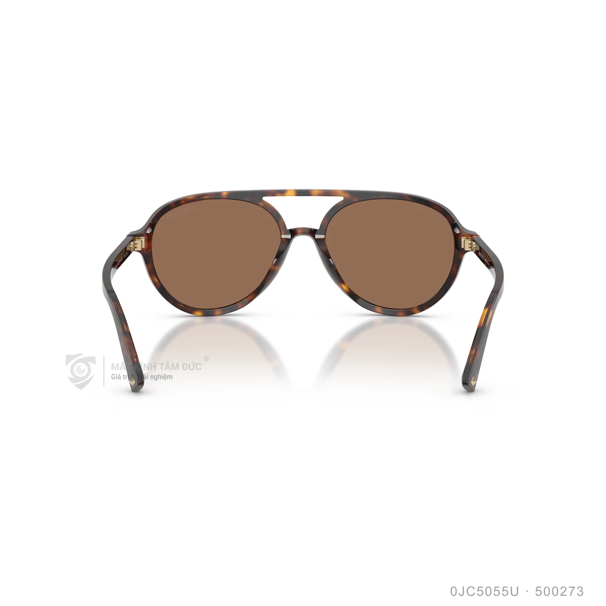 Kính mát Jimmy Choo 0JC5055U - Ảnh 10