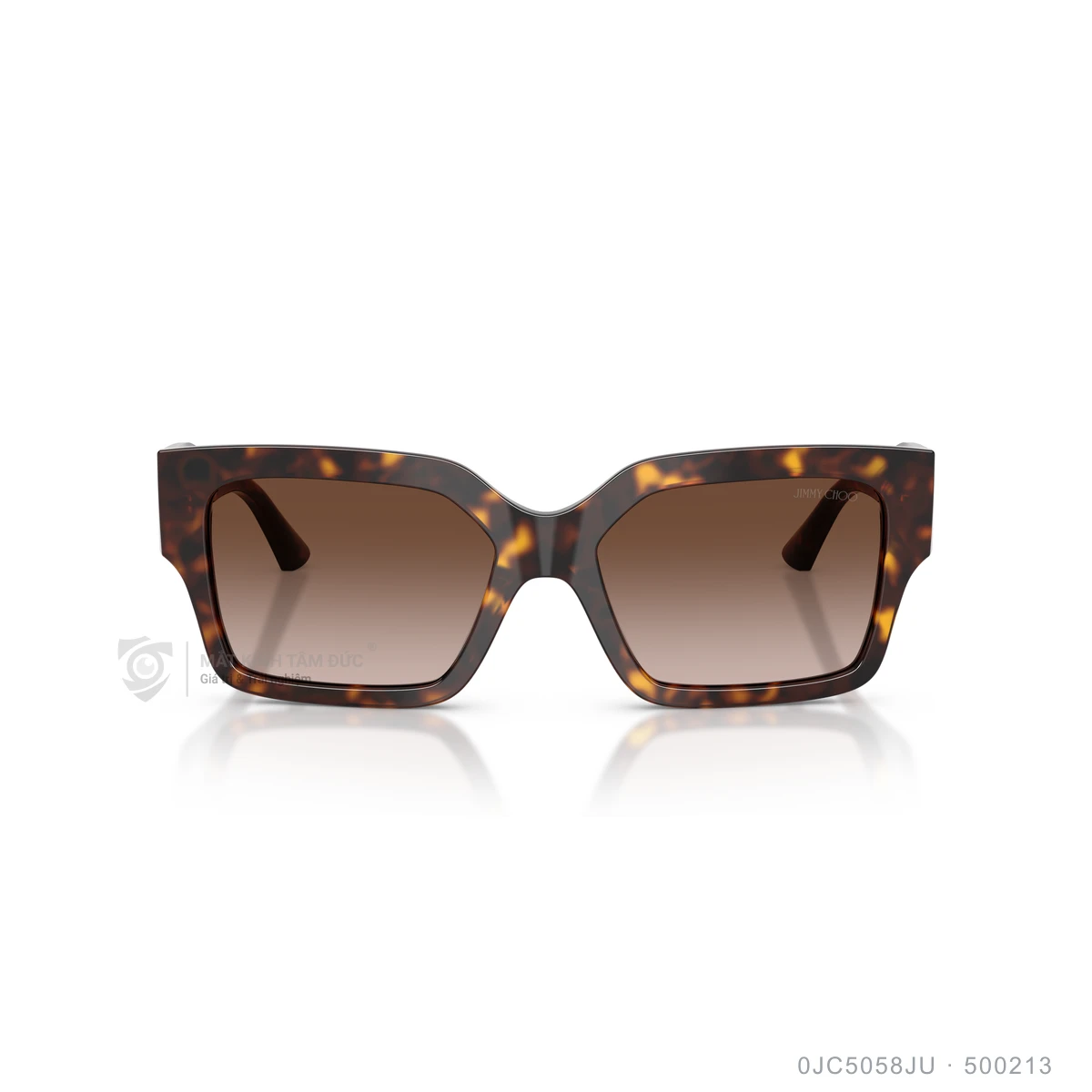 Kính mát Jimmy Choo 0JC5058JU - Ảnh 11