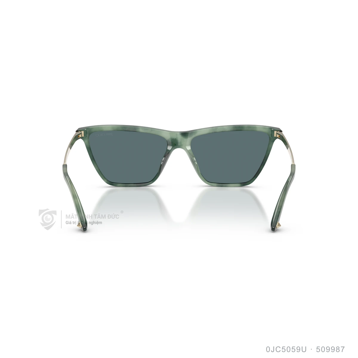 Kính mát Jimmy Choo 0JC5059U - Ảnh 30
