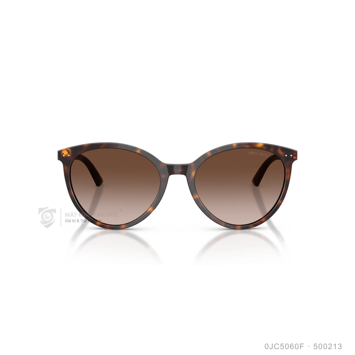 Kính mát Jimmy Choo 0JC5060F - Ảnh 6