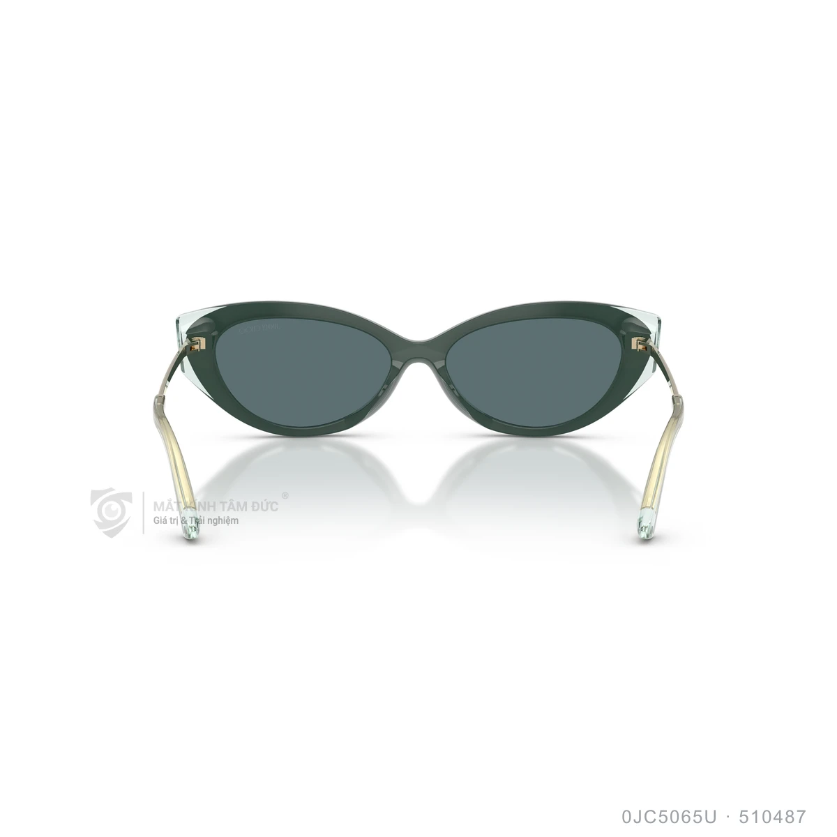 Kính mát Jimmy Choo 0JC5065U - Ảnh 15