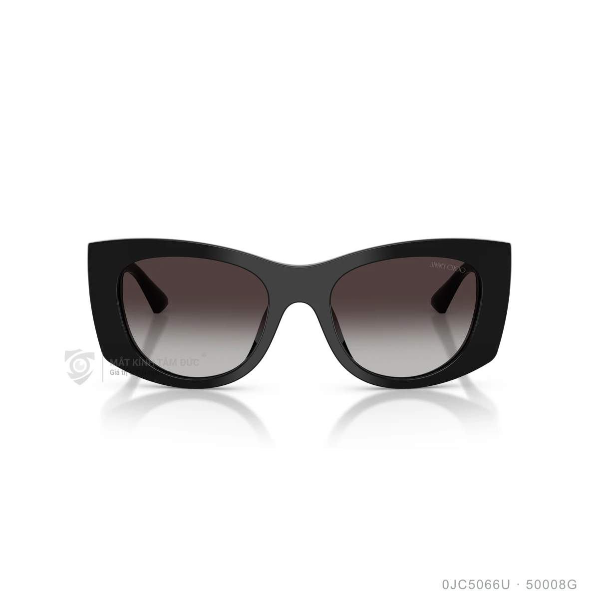 Kính mát Jimmy Choo 0JC5066U - Ảnh 1