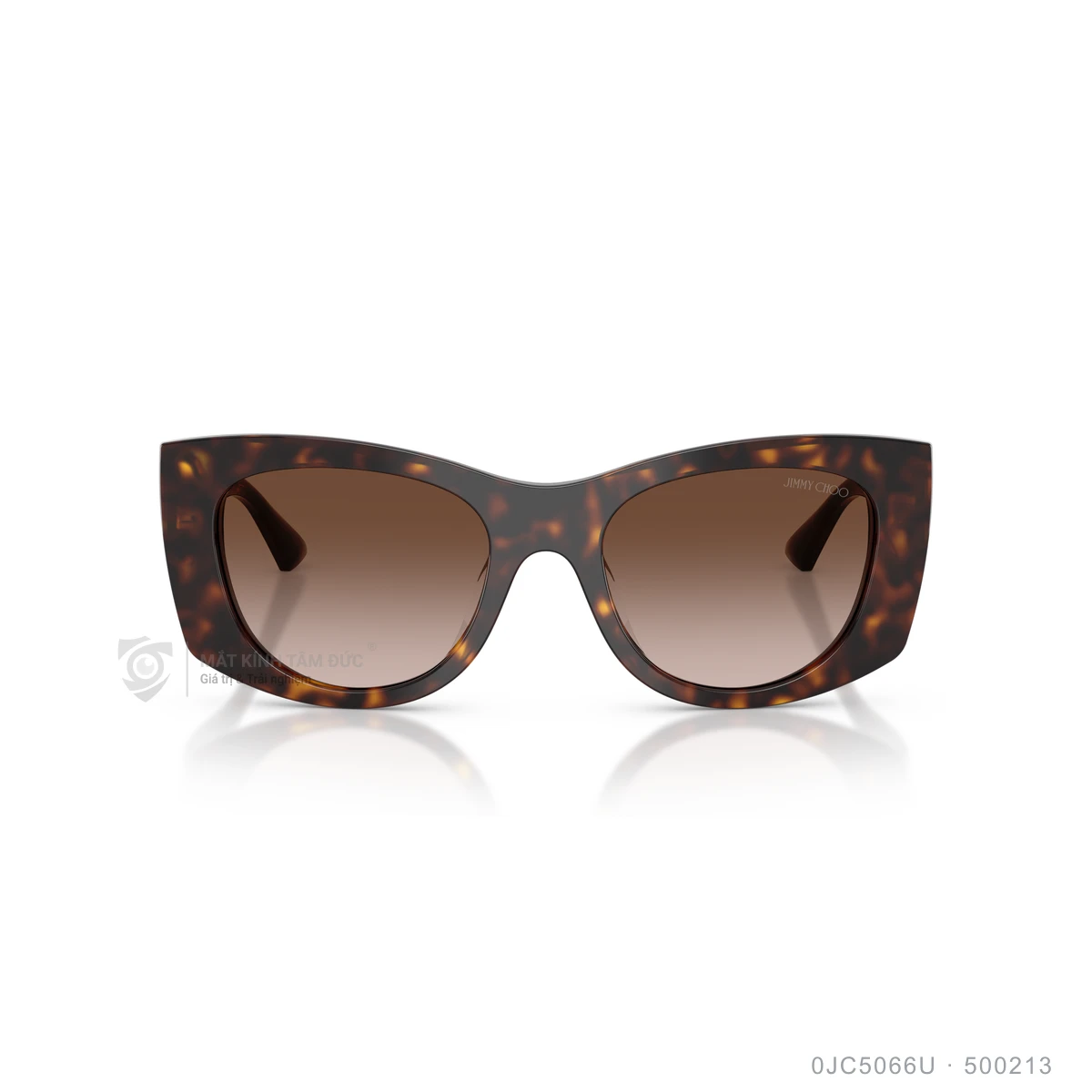 Kính mát Jimmy Choo 0JC5066U - Ảnh 6