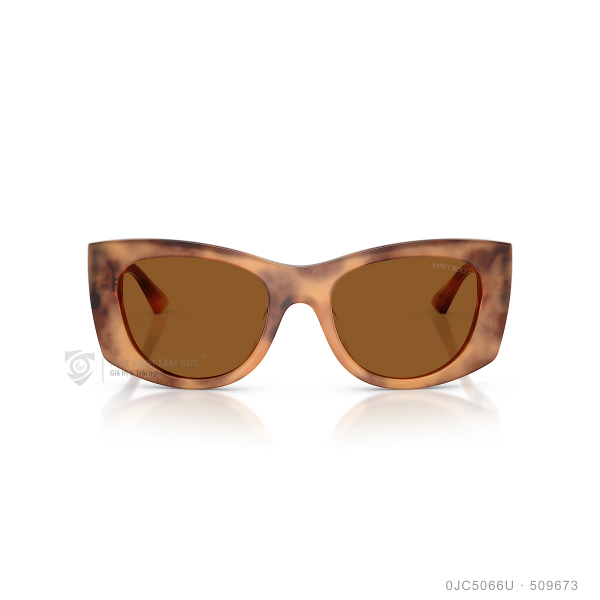 Kính mát Jimmy Choo 0JC5066U - Ảnh 11