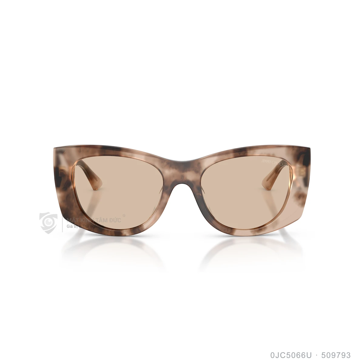Kính mát Jimmy Choo 0JC5066U - Ảnh 16