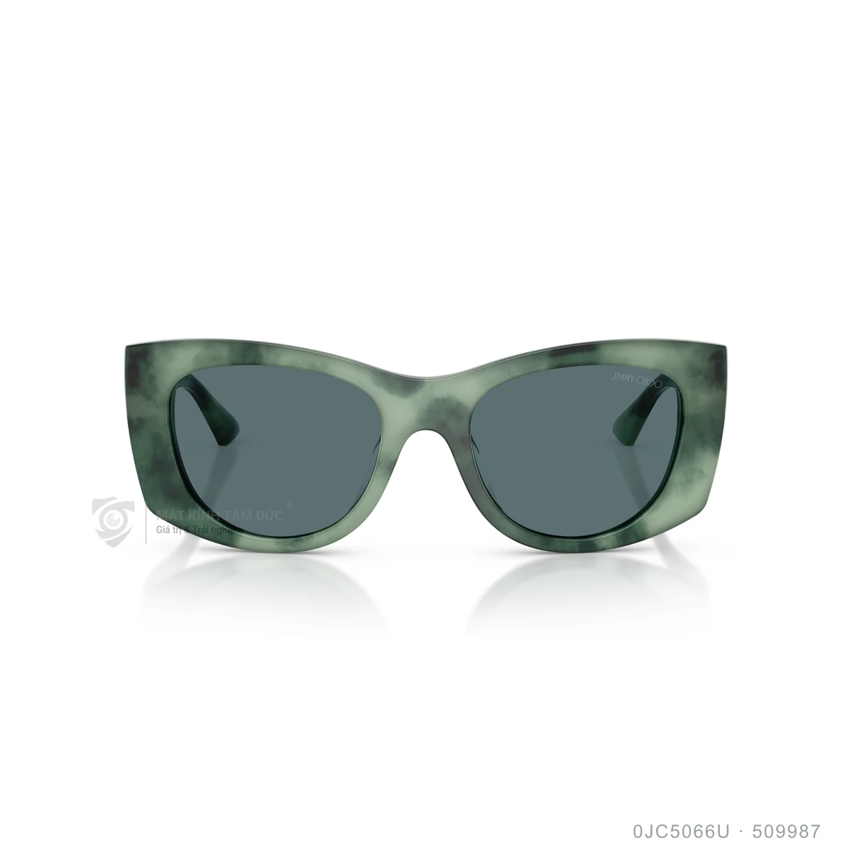 Kính mát Jimmy Choo 0JC5066U - Ảnh 21