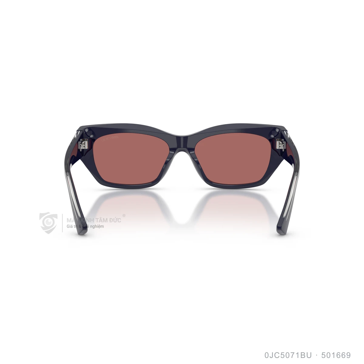 Kính mát Jimmy Choo 0JC5071BU - Ảnh 15