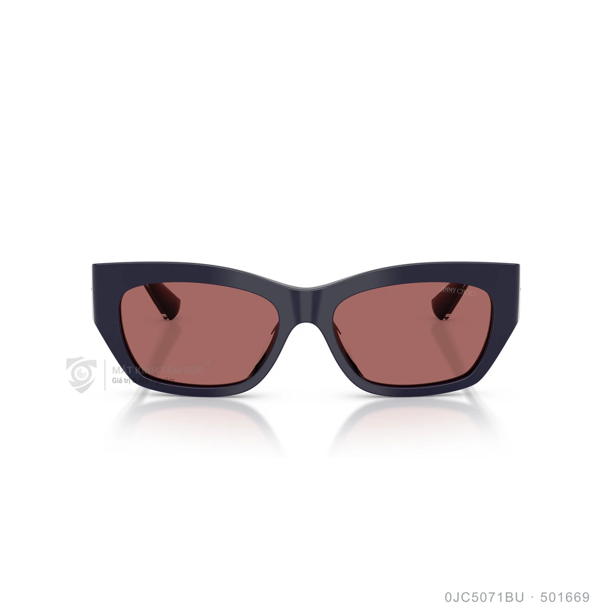Kính mát Jimmy Choo 0JC5071BU - Ảnh 11