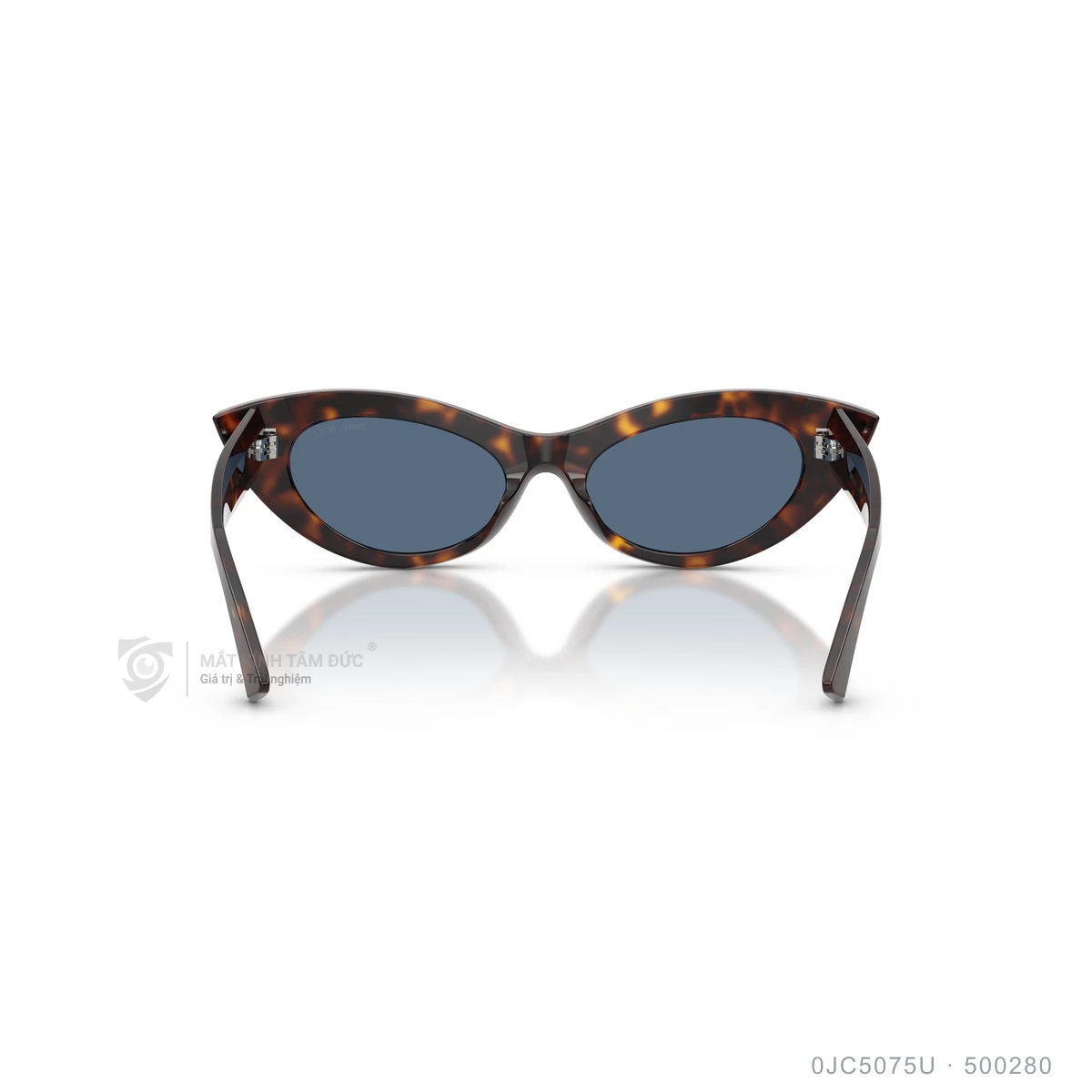 Kính mát Jimmy Choo 0JC5075U - Ảnh 15