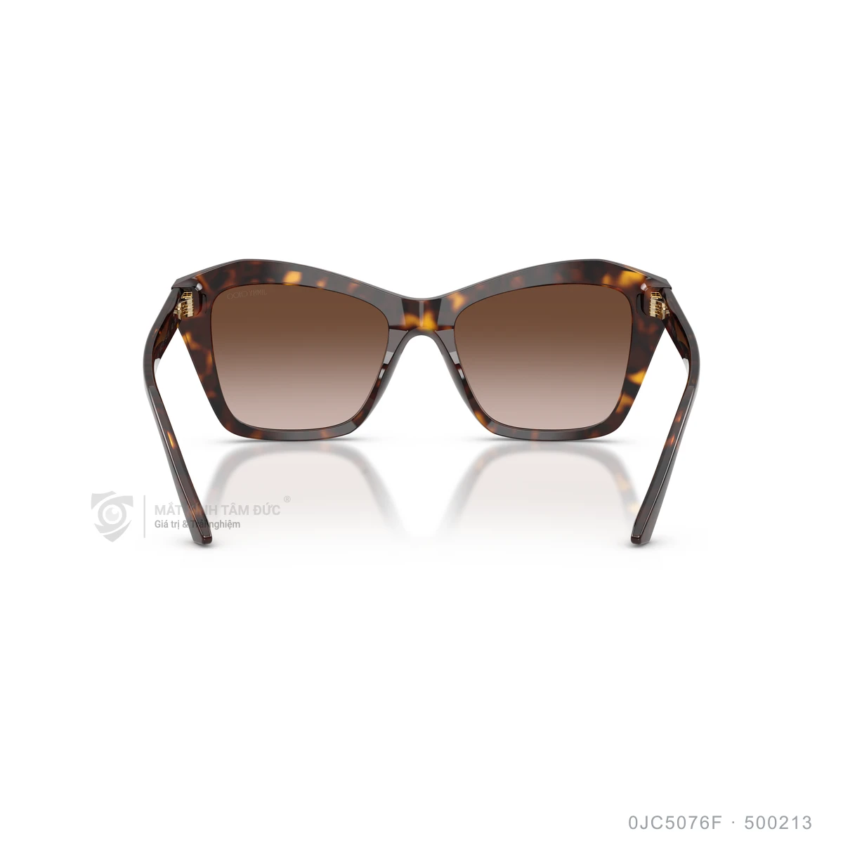 Kính mát Jimmy Choo 0JC5076F - Ảnh 10