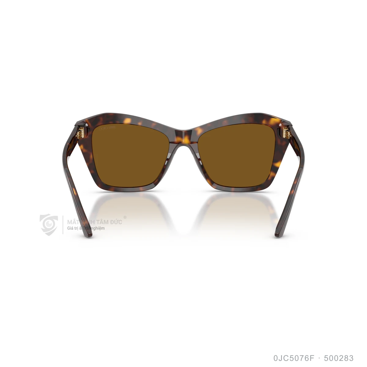 Kính mát Jimmy Choo 0JC5076F - Ảnh 15