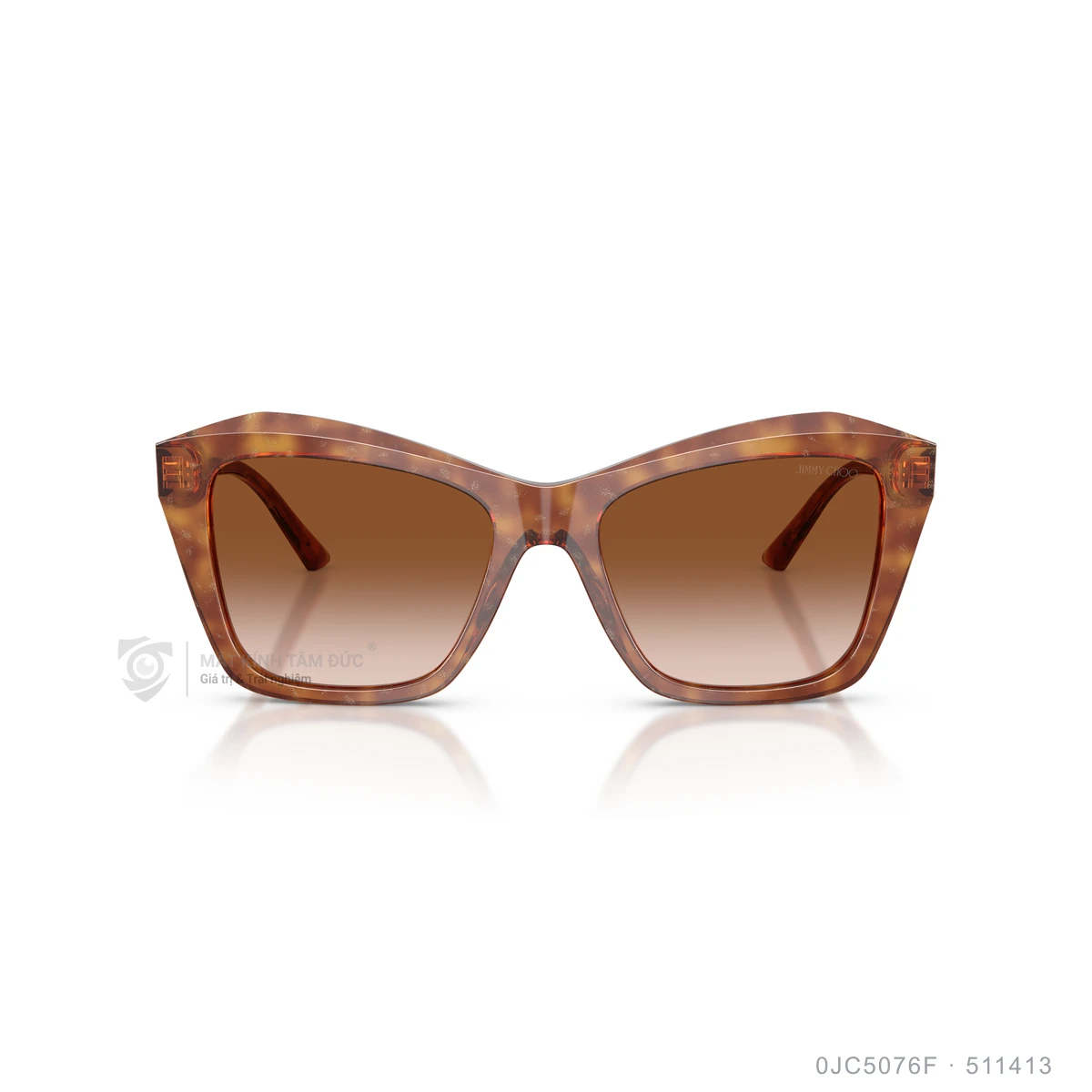 Kính mát Jimmy Choo 0JC5076F - Ảnh 16