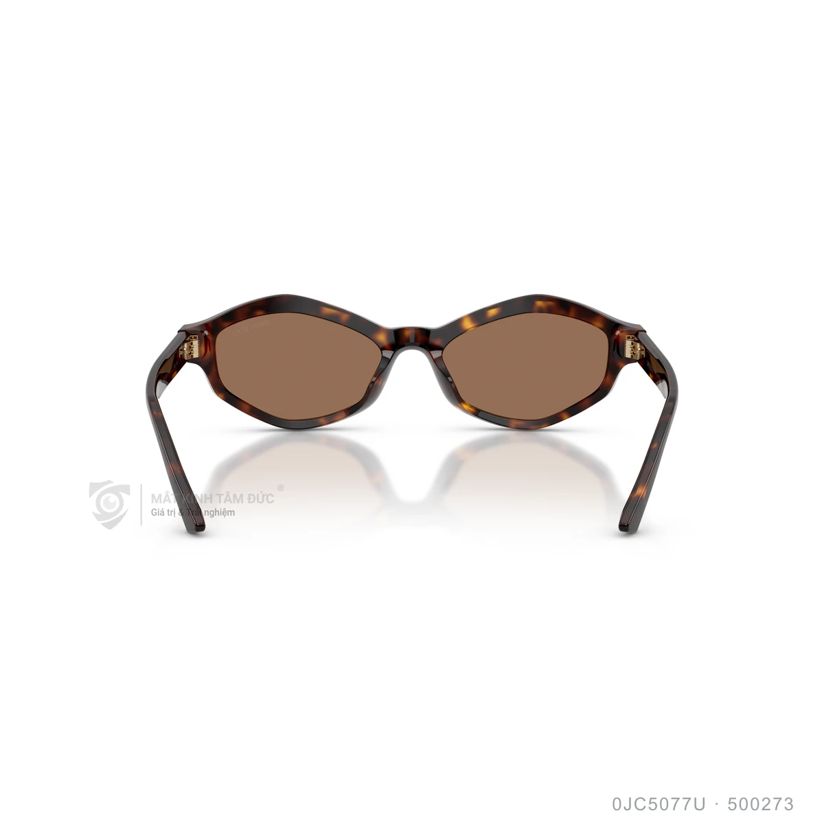 Kính mát Jimmy Choo 0JC5077U - Ảnh 10