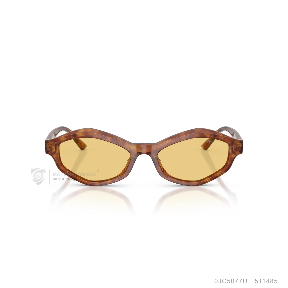 Kính mát Jimmy Choo 0JC5077U - Ảnh 11