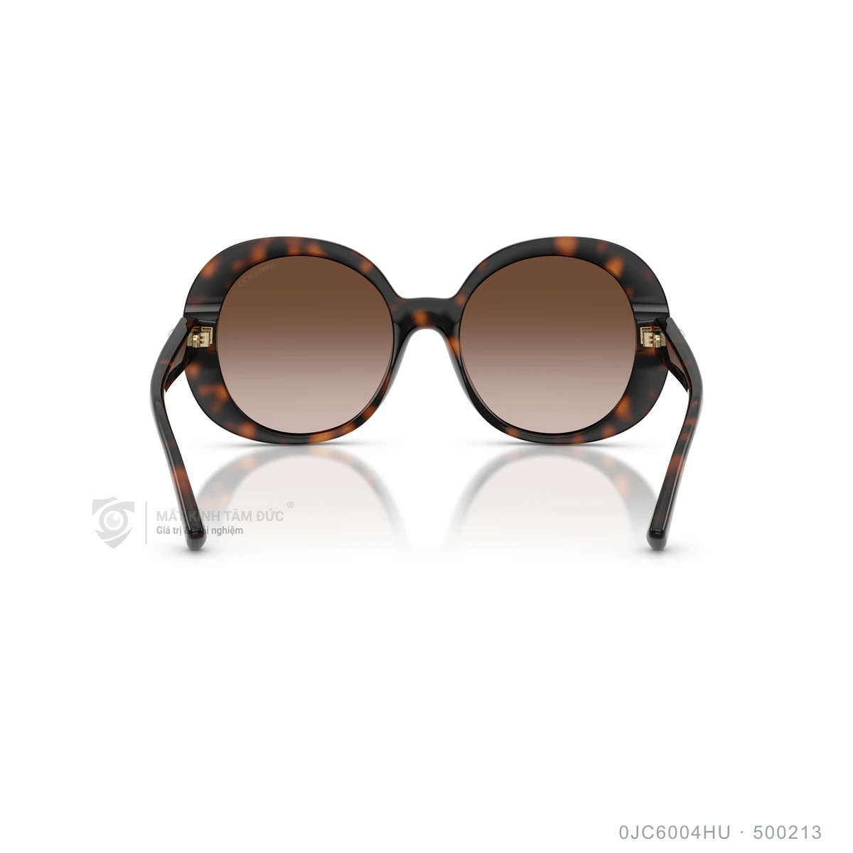 Kính mát Jimmy Choo 0JC6004HU - Ảnh 10