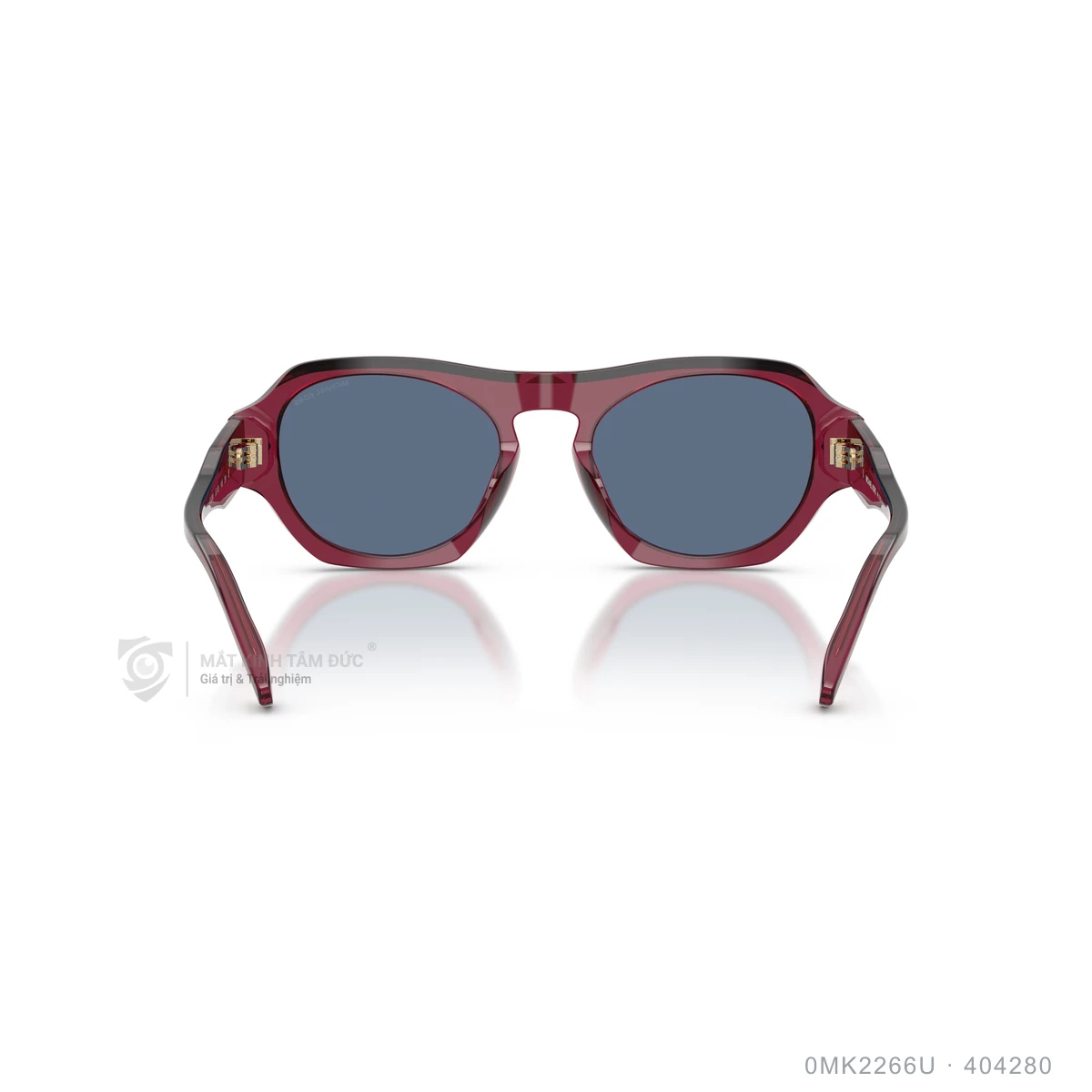 Kính mát Michael Kors 0MK2266U - Ảnh 5