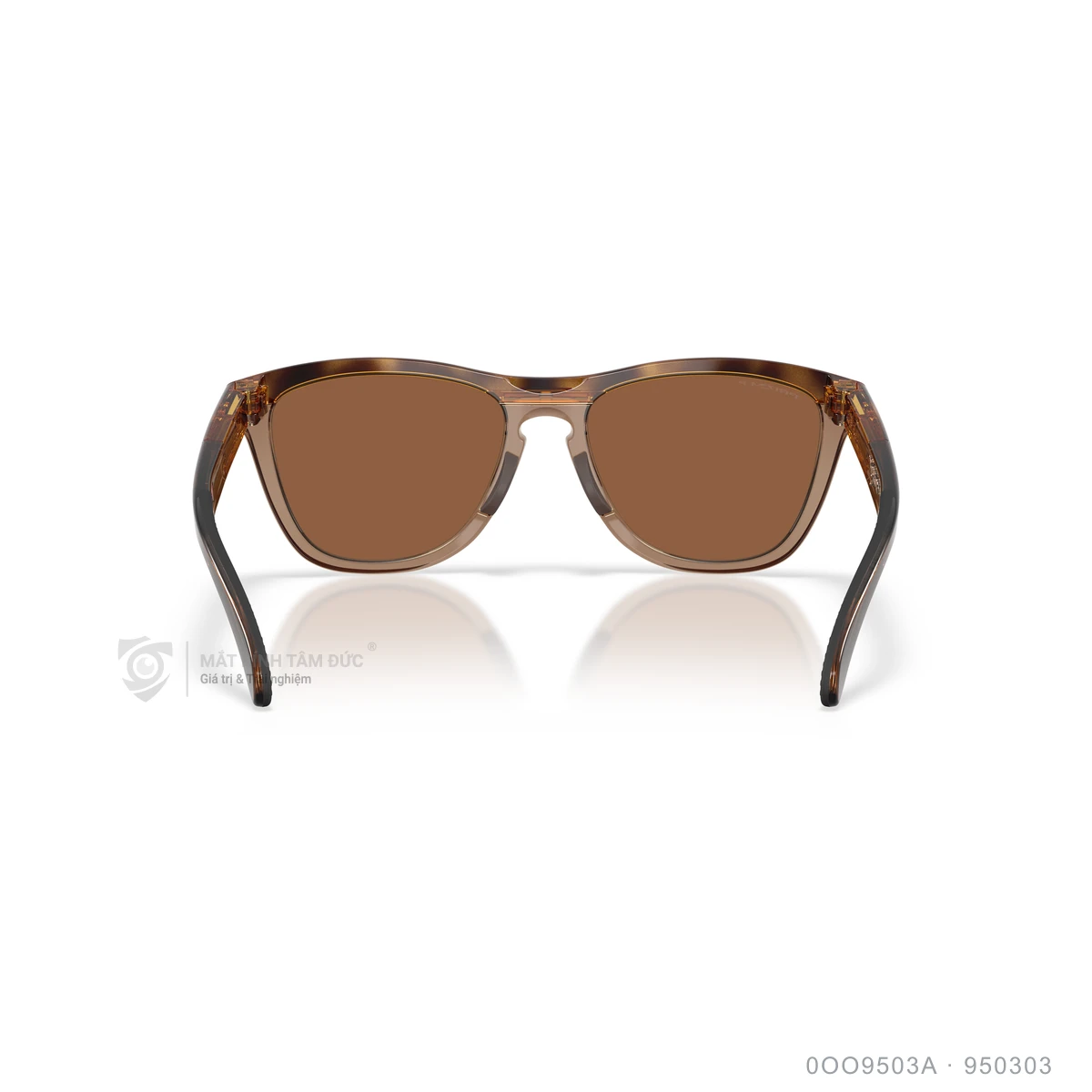 Kính mát Oakley 0OO9503A - Ảnh 15