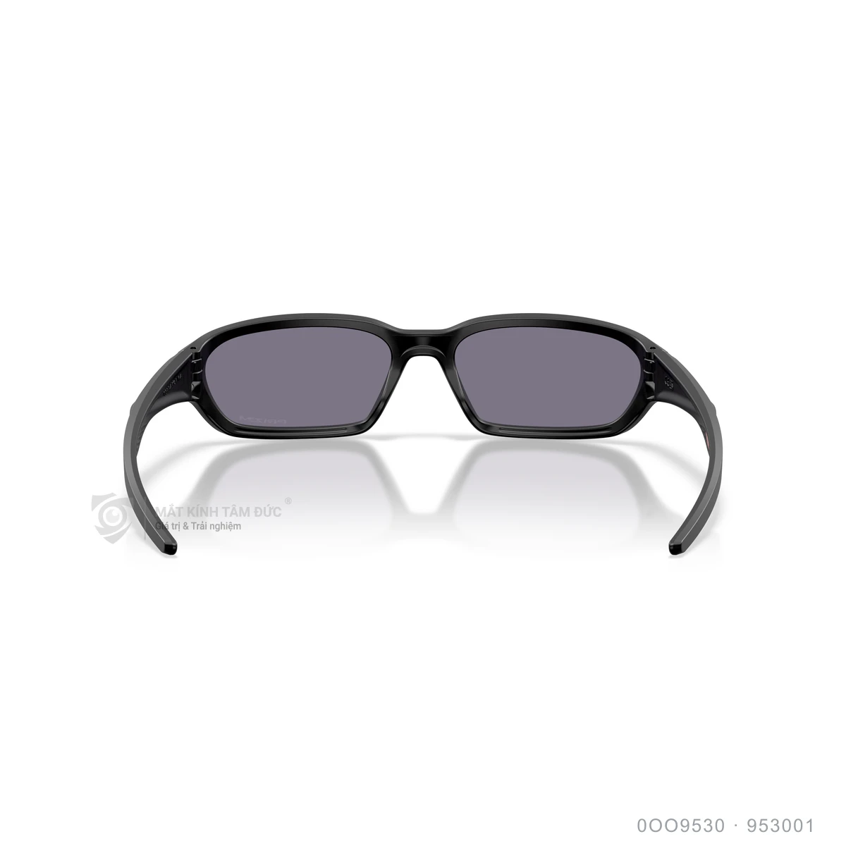 Kính mát Oakley 0OO9530 - Ảnh 15