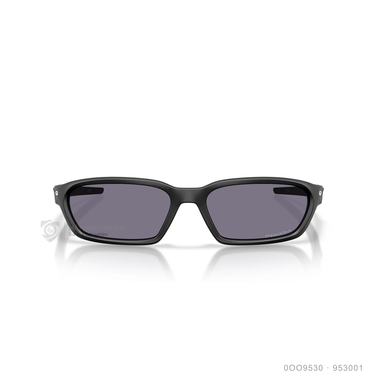 Kính mát Oakley 0OO9530 - Ảnh 11