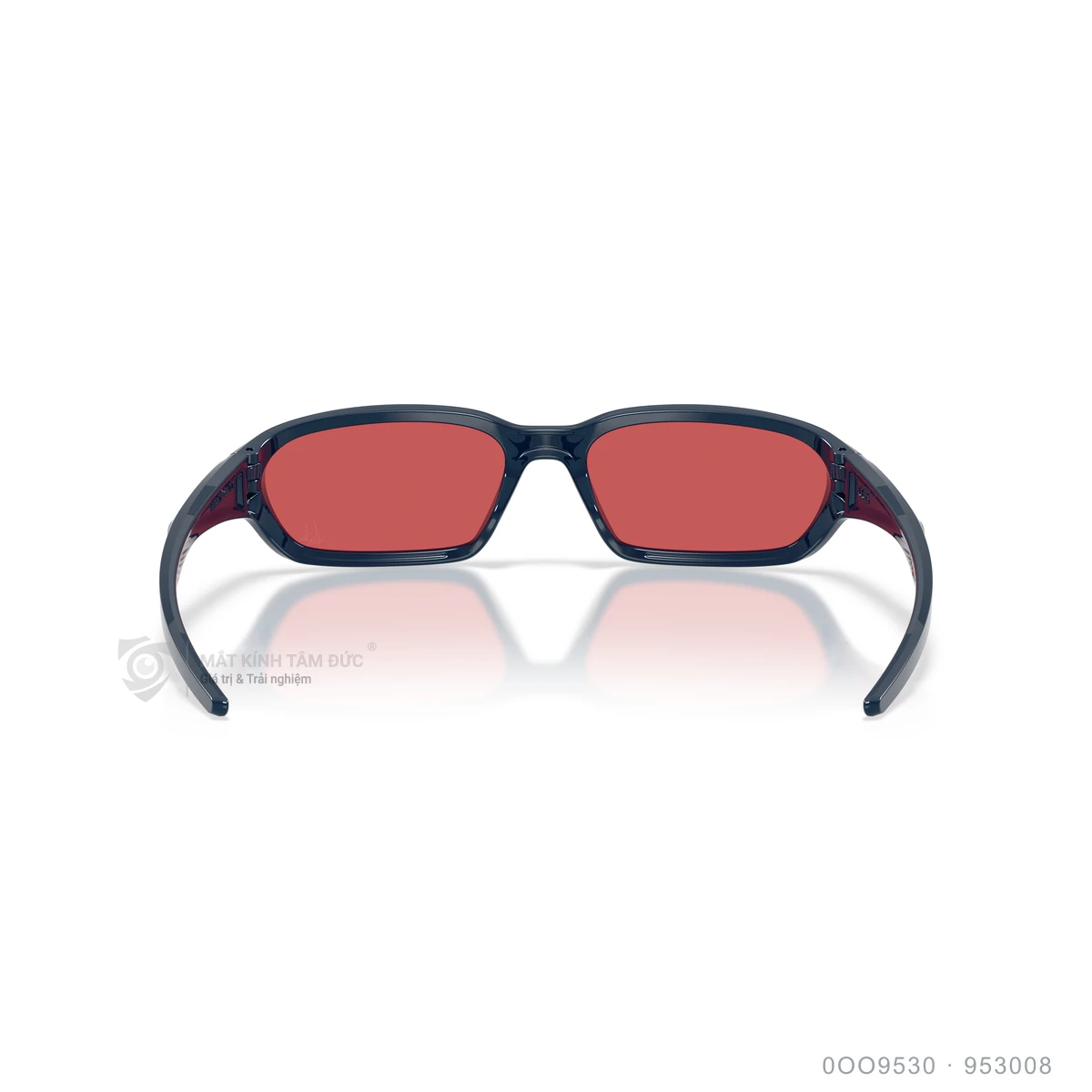 Kính mát Oakley 0OO9530 - Ảnh 40