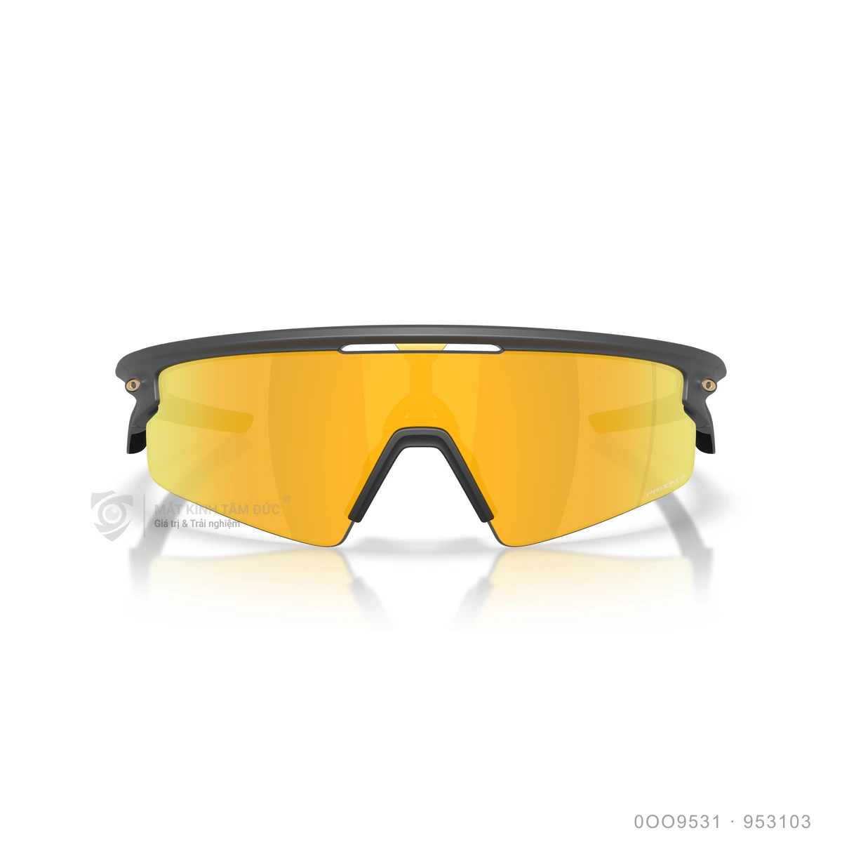 Kính mát Oakley 0OO9531 - Ảnh 21