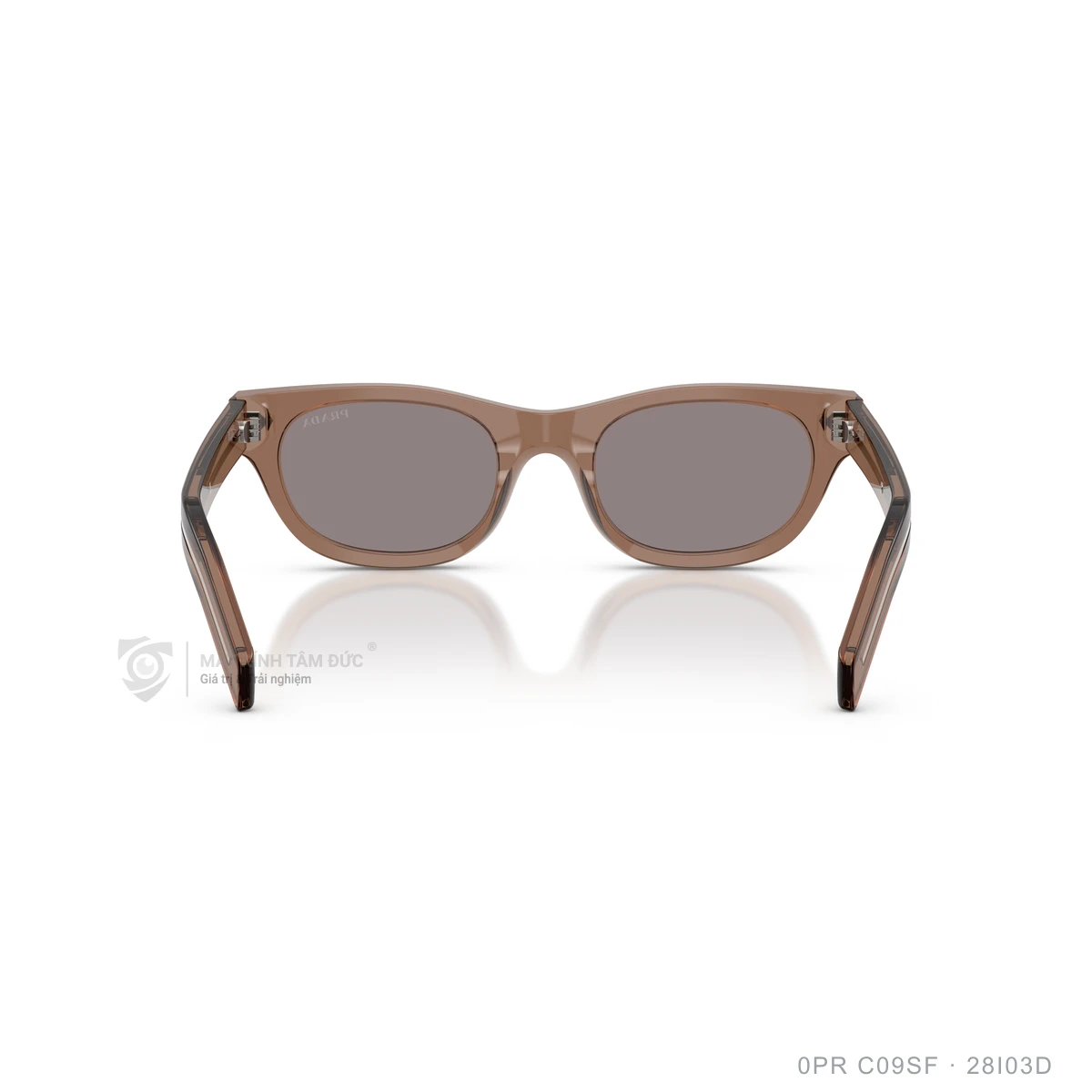 Kính mát Prada 0PR C09SF - Ảnh 25