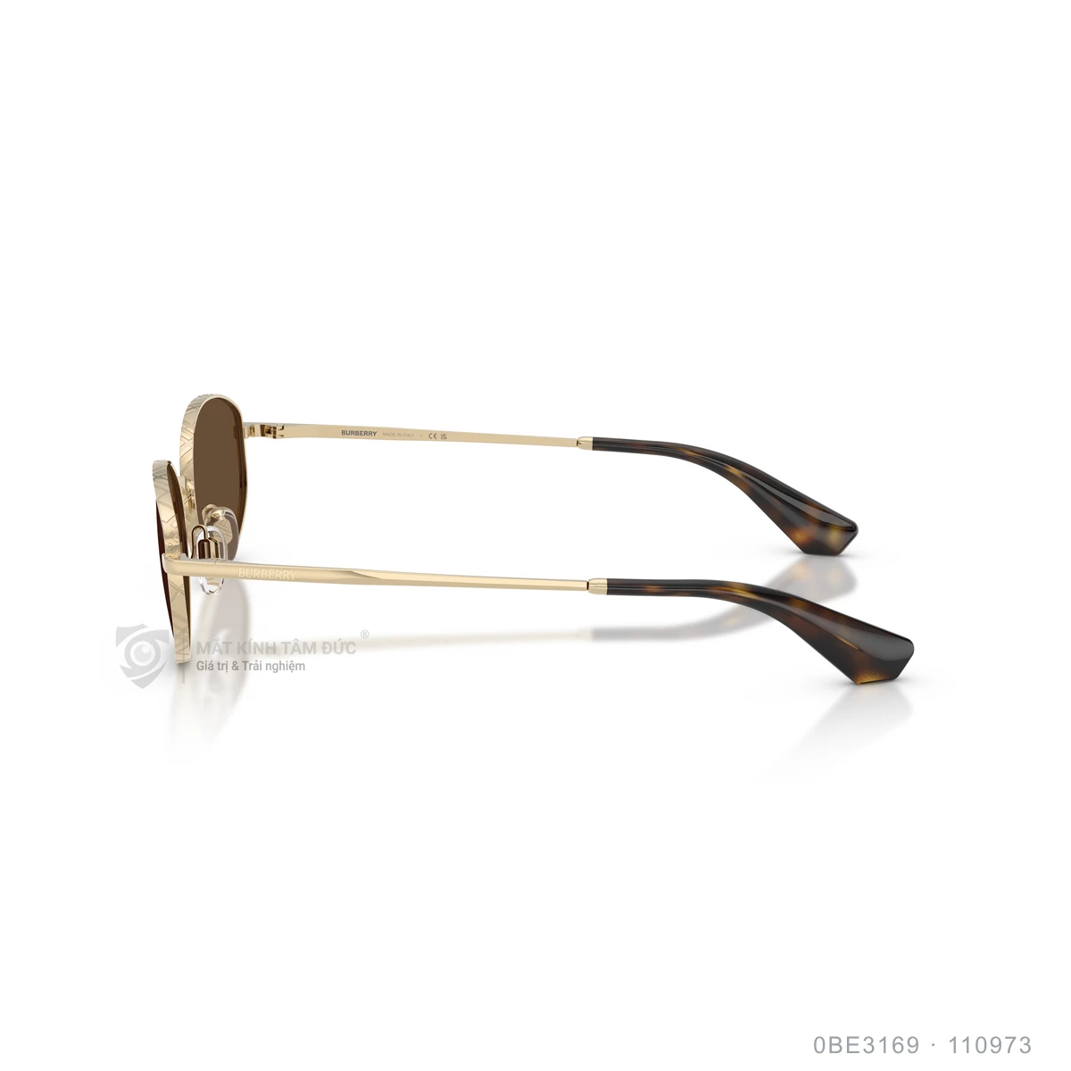Kính mát Burberry 0BE3169 - Ảnh 19