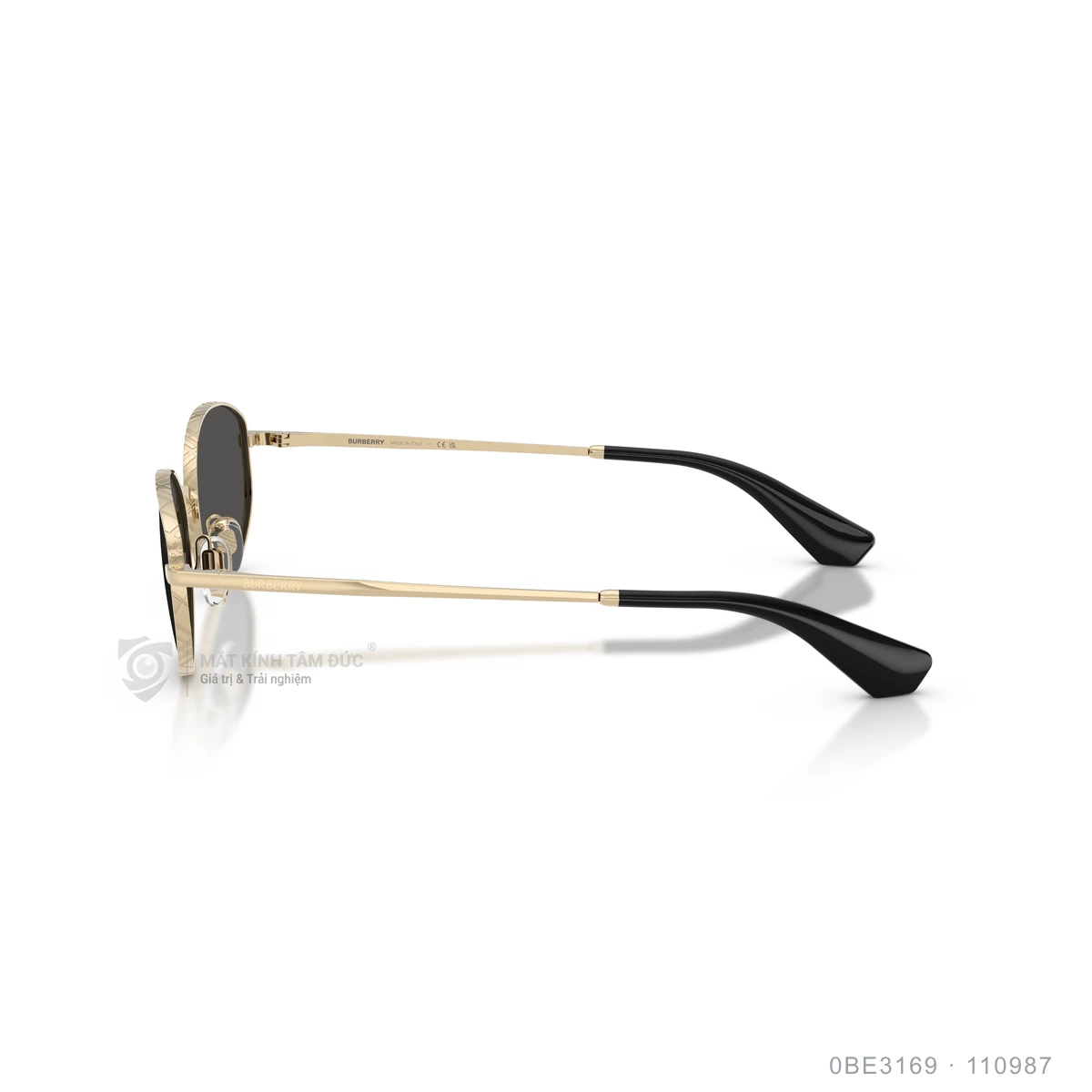 Kính mát Burberry 0BE3169 - Ảnh 24