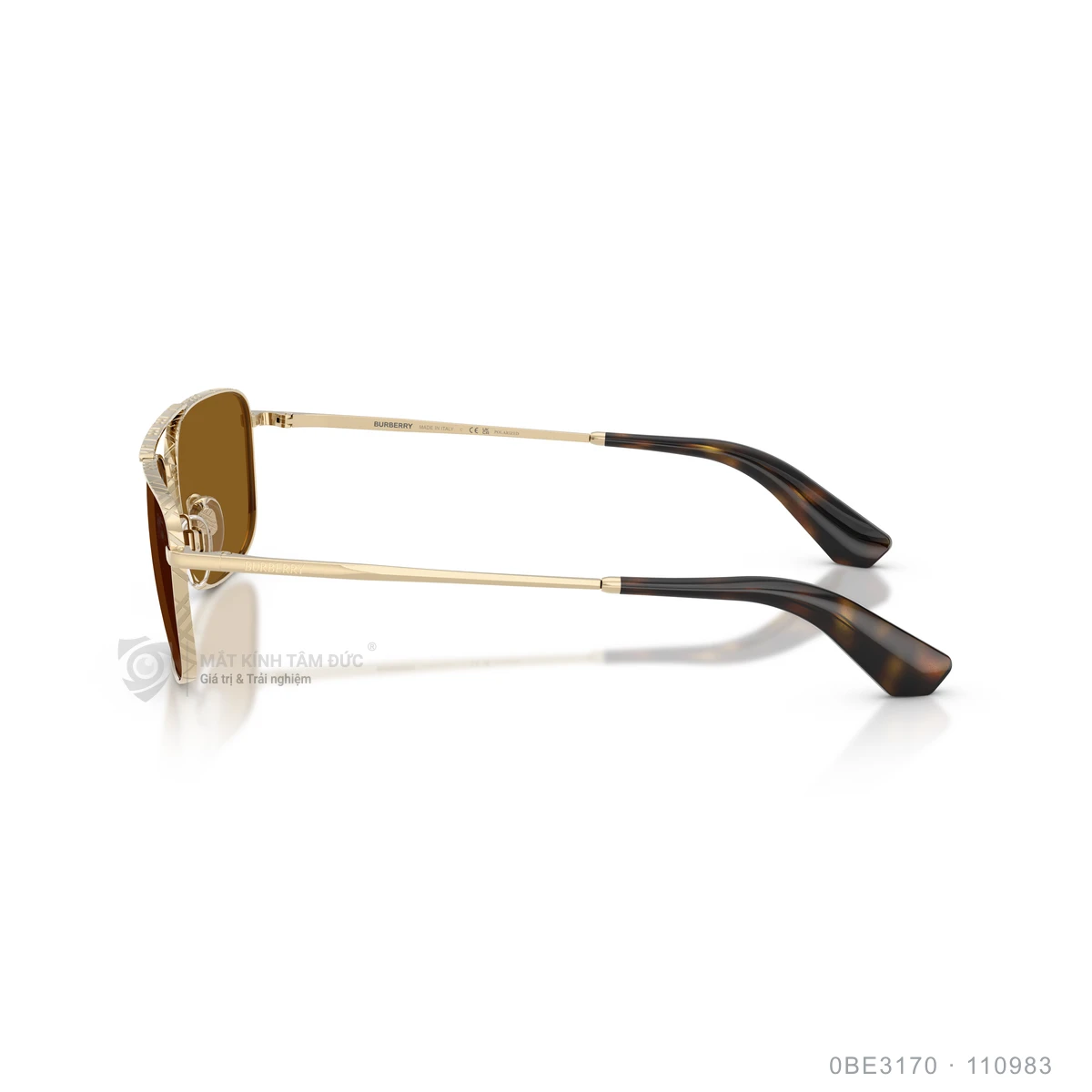 Kính mát Burberry 0BE3170 - Ảnh 19