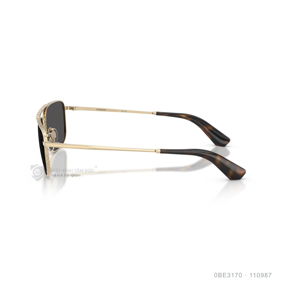 Kính mát Burberry 0BE3170 - Ảnh 24