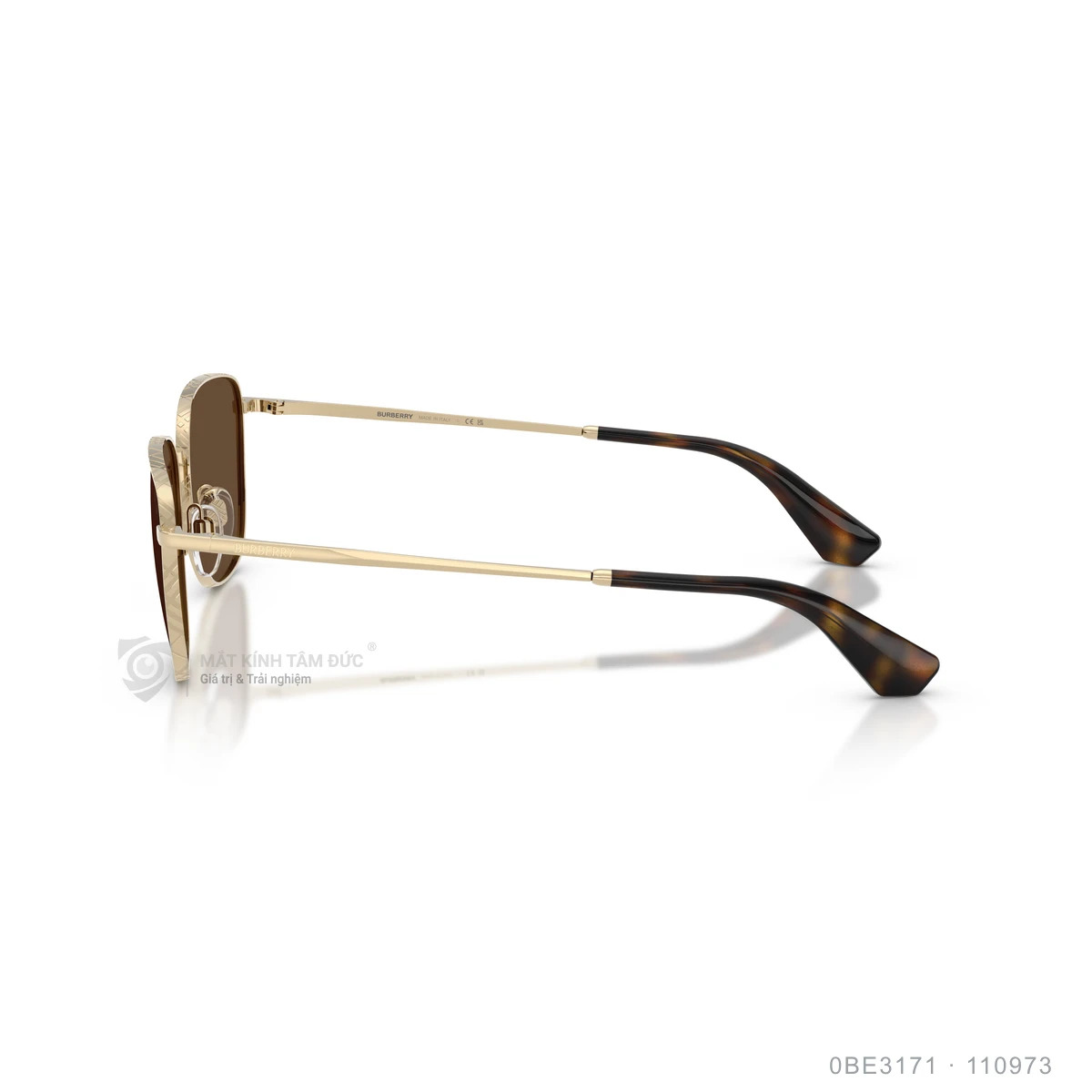 Kính mát Burberry 0BE3171 - Ảnh 19