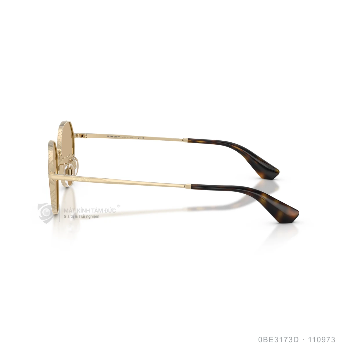 Kính mát Burberry 0BE3173D - Ảnh 14