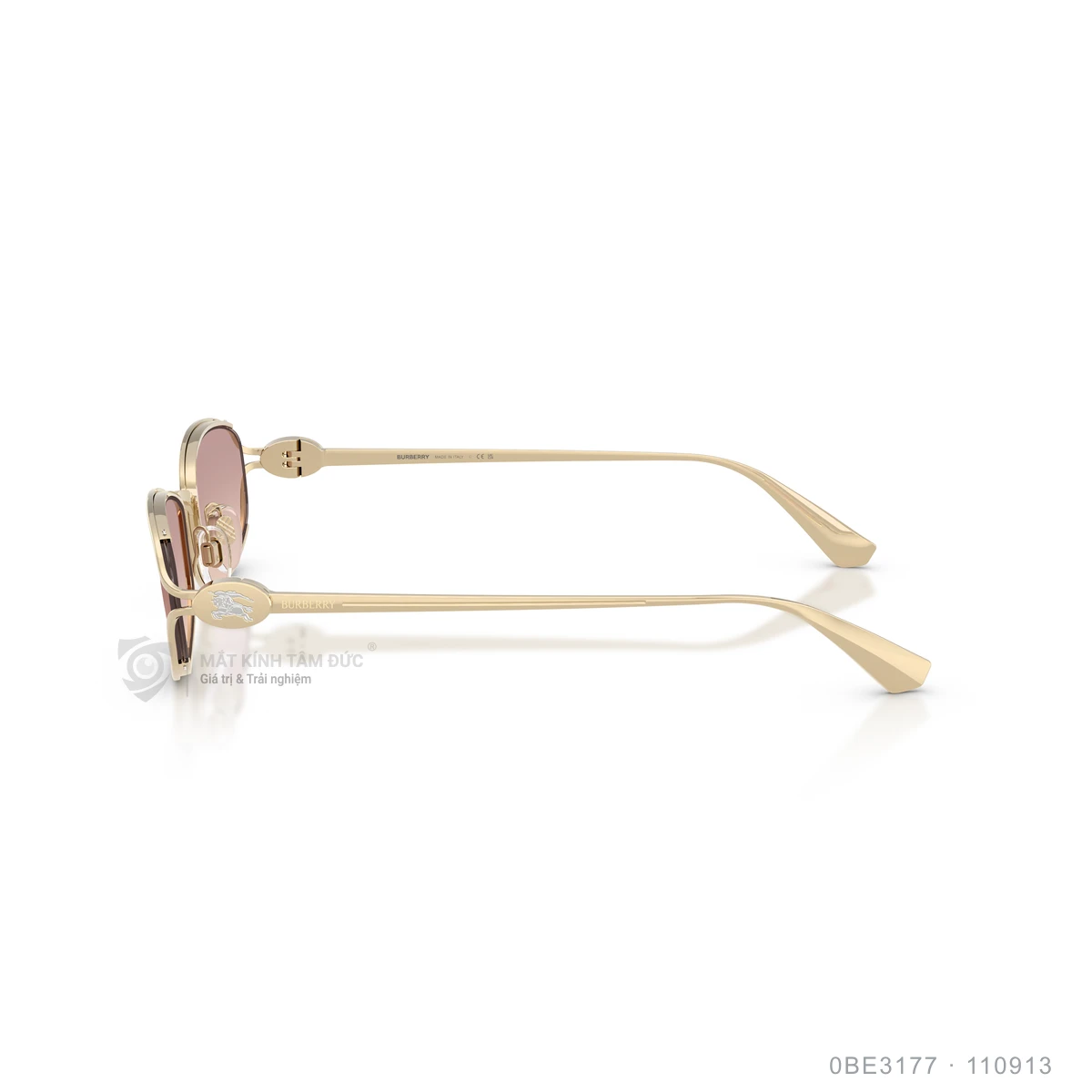 Kính mát Burberry 0BE3177 - Ảnh 19