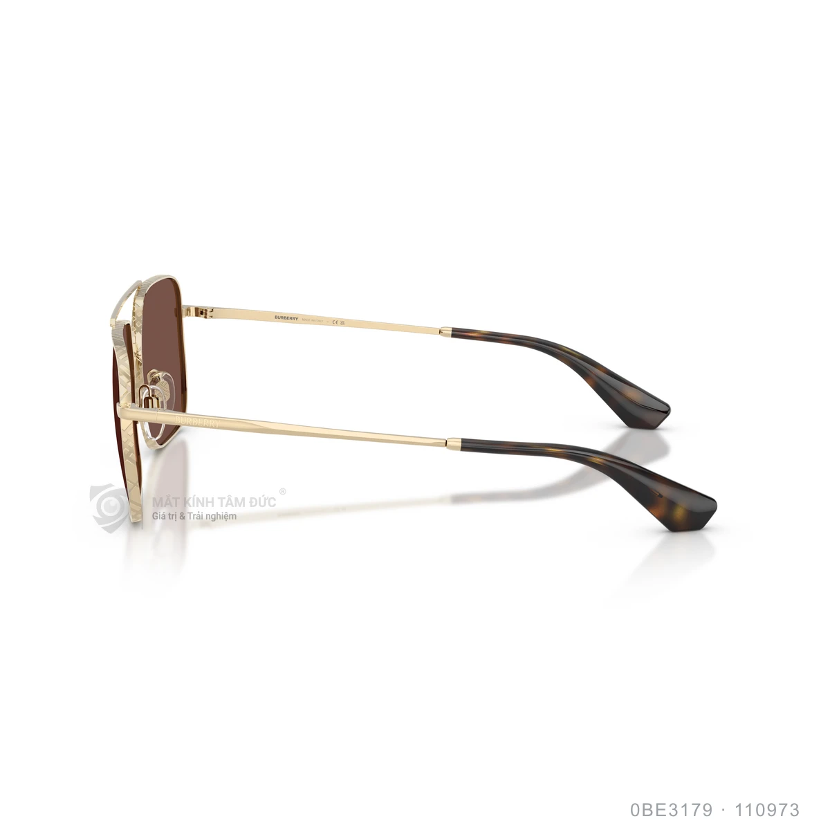 Kính mát Burberry 0BE3179 - Ảnh 24