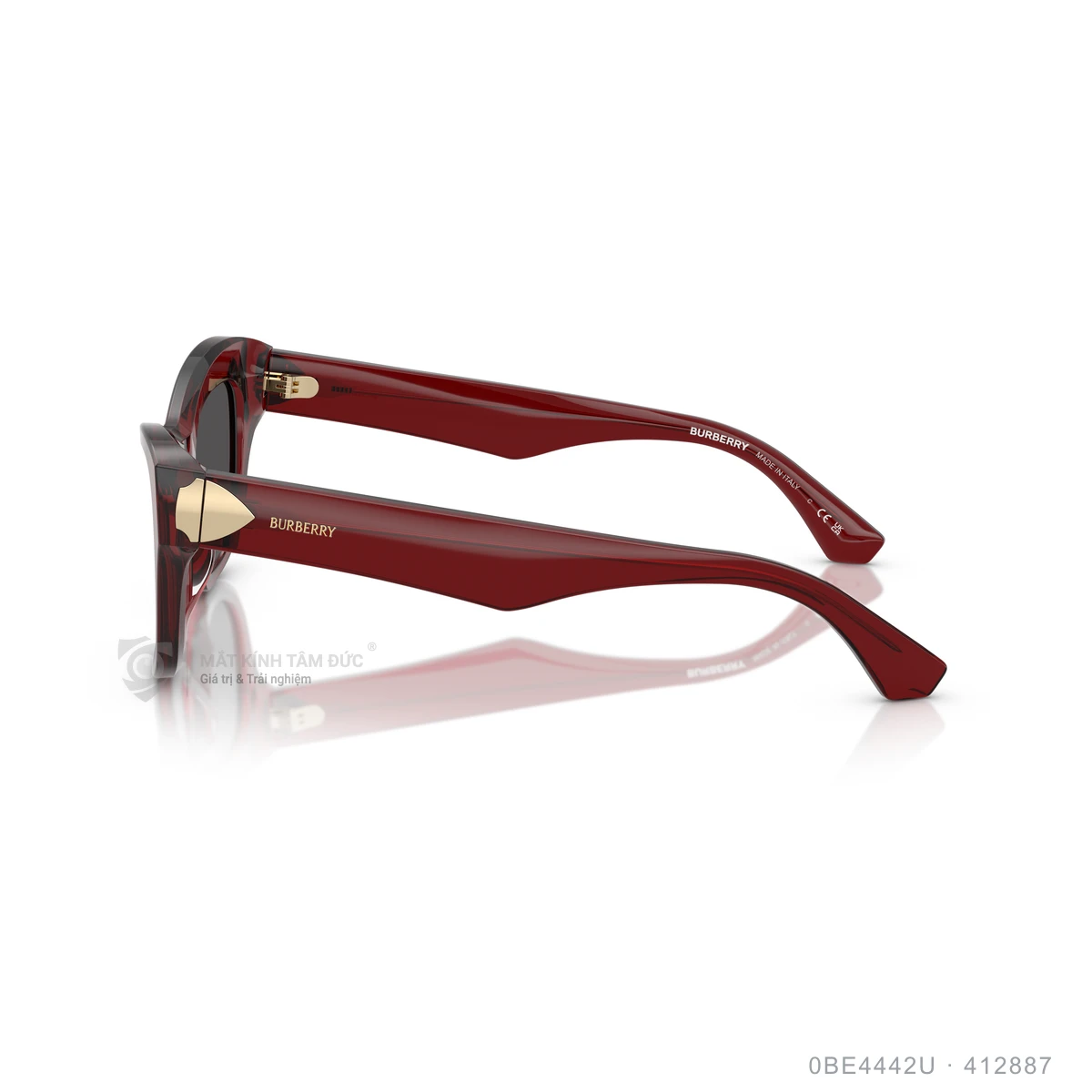 Kính mát Burberry 0BE4442U - Ảnh 19