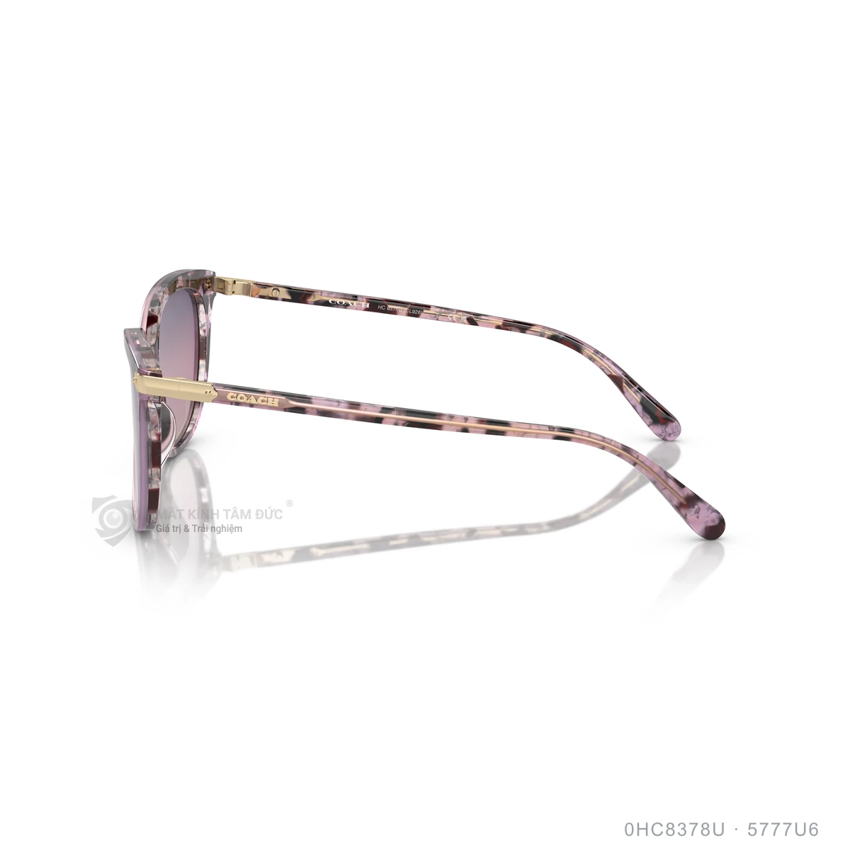 Kính mát Coach 0HC8378U - Ảnh 19