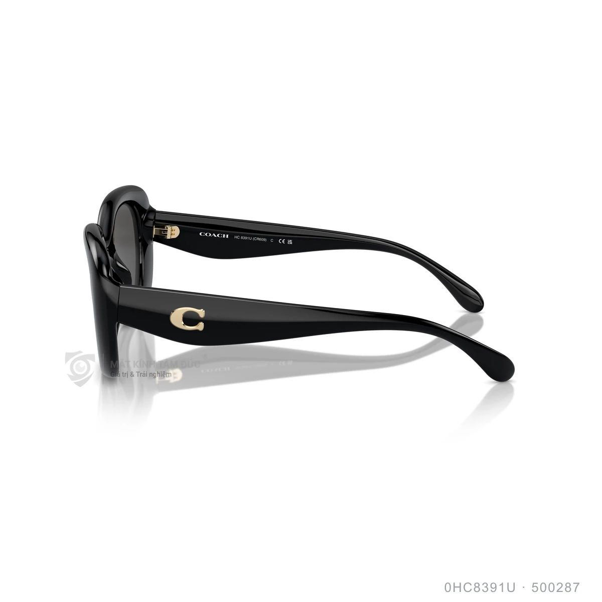 Kính mát Coach 0HC8391U - Ảnh 4