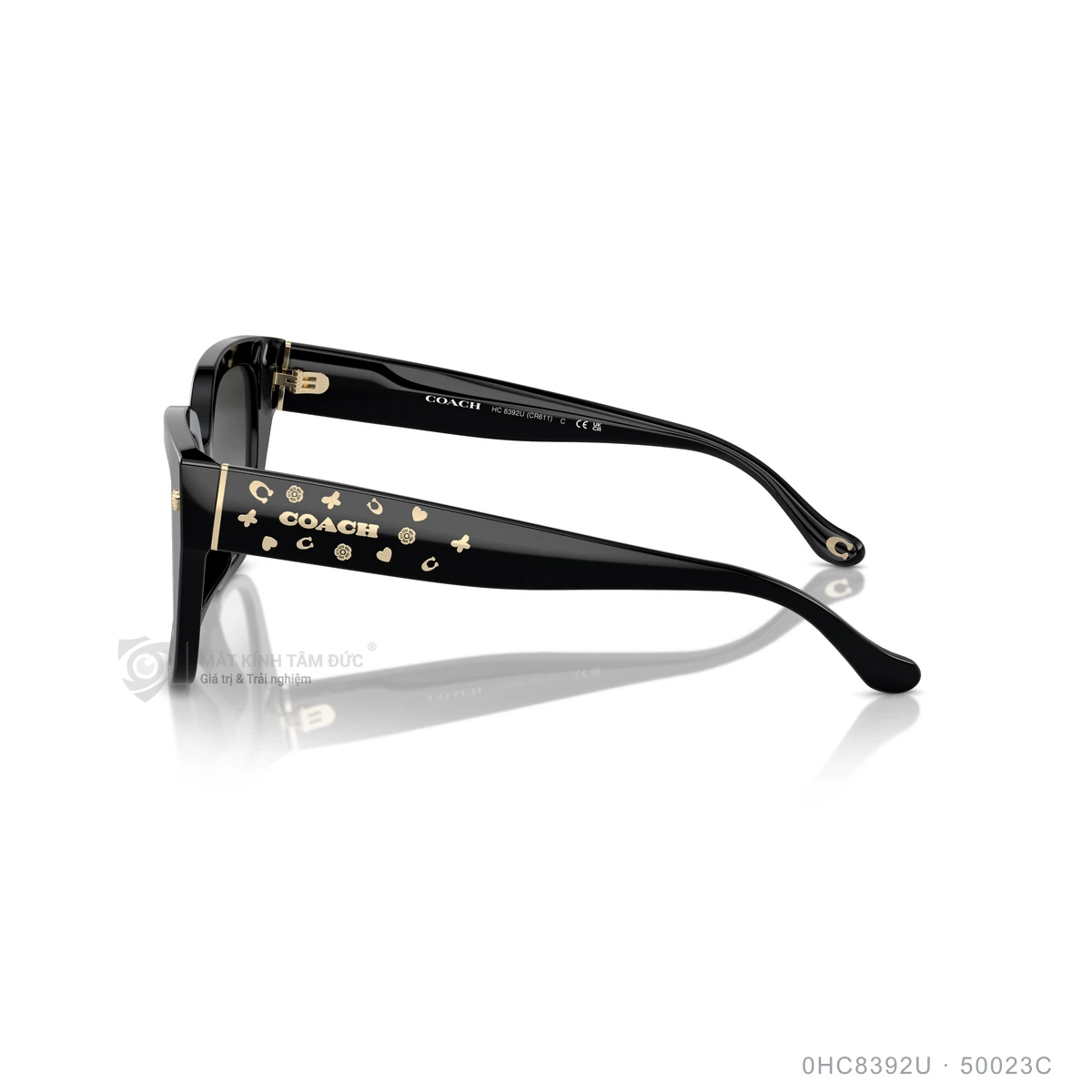 Kính mát Coach 0HC8392U - Ảnh 4