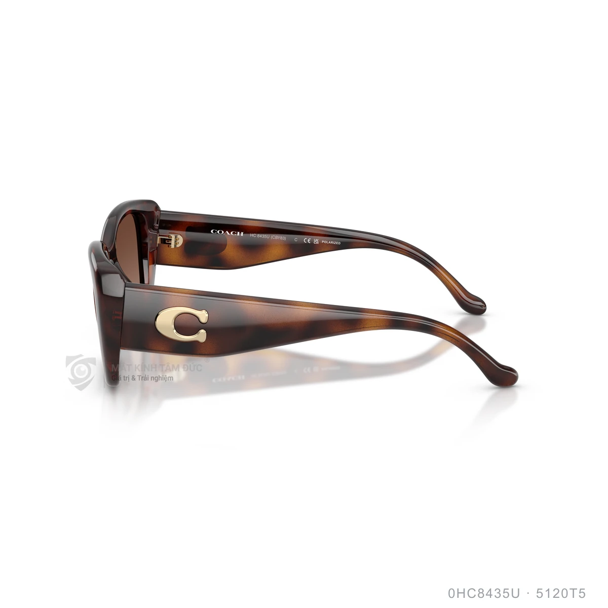 Kính mát Coach 0HC8435U - Ảnh 9